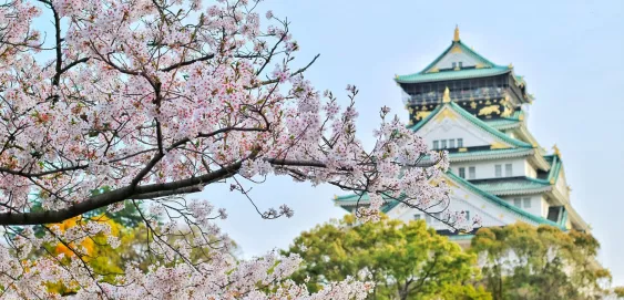 Château Osaka Cerisier Japon